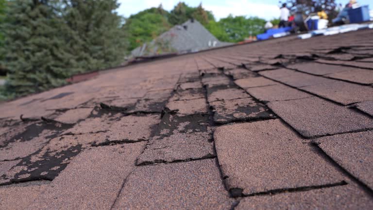 Best Storm Damage Roof Repair  in Cheswick, PA